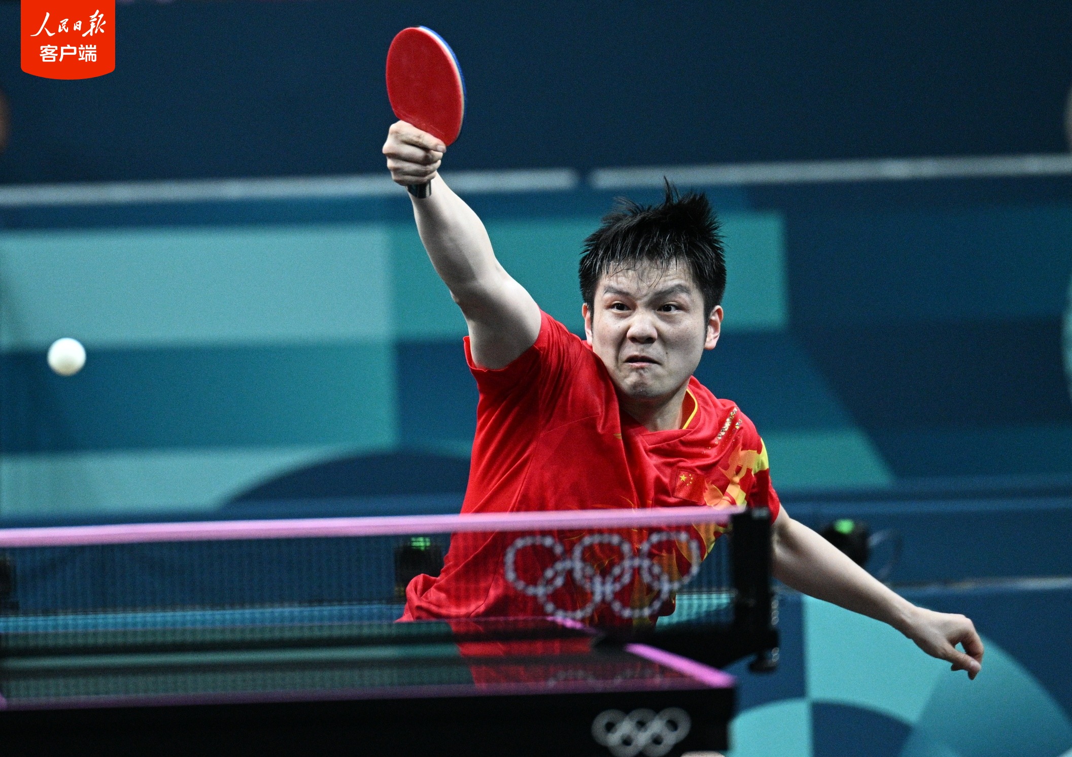 包含波兰乒乓球队横扫日本乒乓球队,樊振东高光表现的词条 包含波兰乒乓球队横扫日本乒乓球队,樊振东高光表现的词条