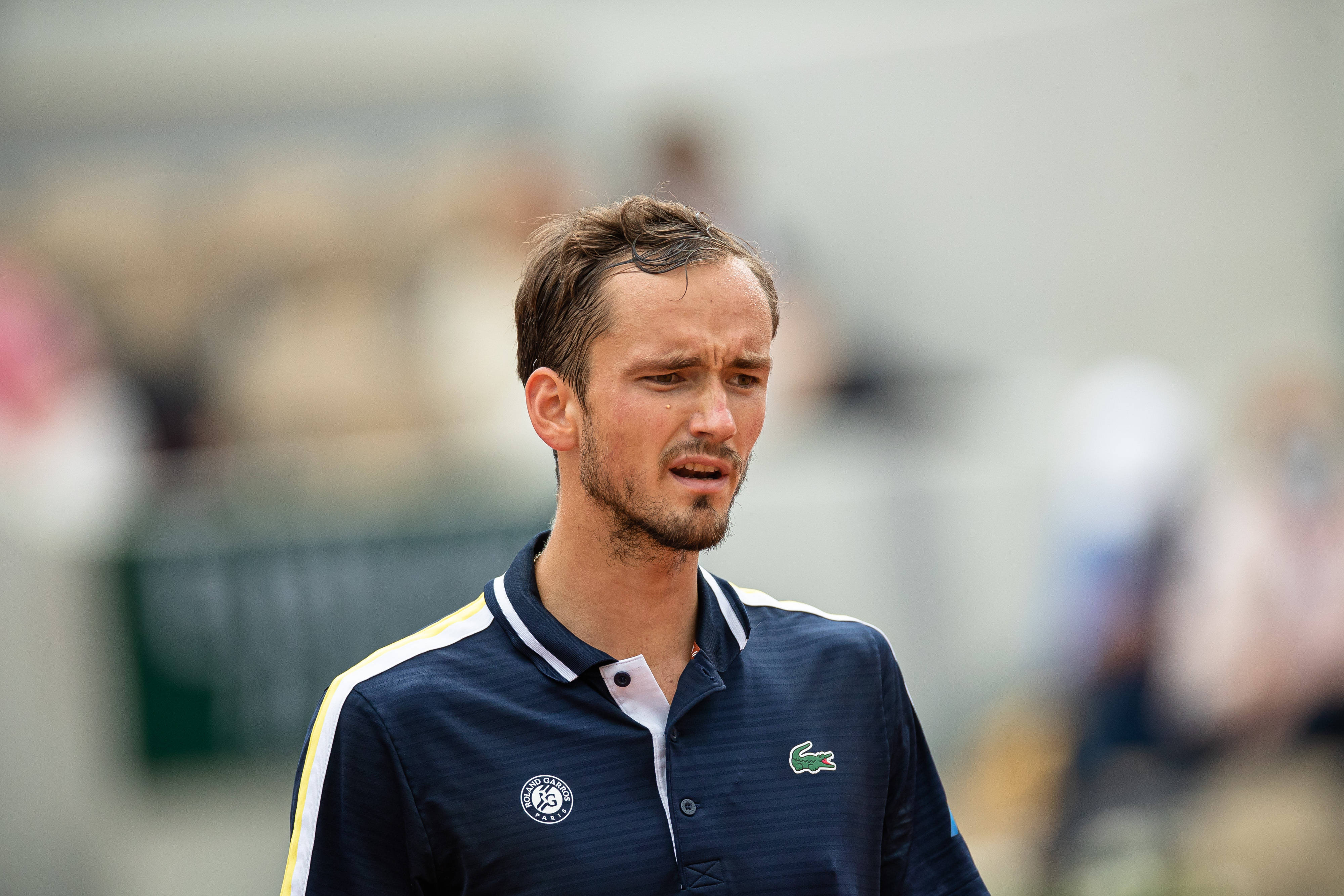 世界网球队绝地反击法国网球队,梅德韦杰夫关键制胜的简单介绍 世界网球队绝地反击法国网球队,梅德韦杰夫关键制胜的简单介绍