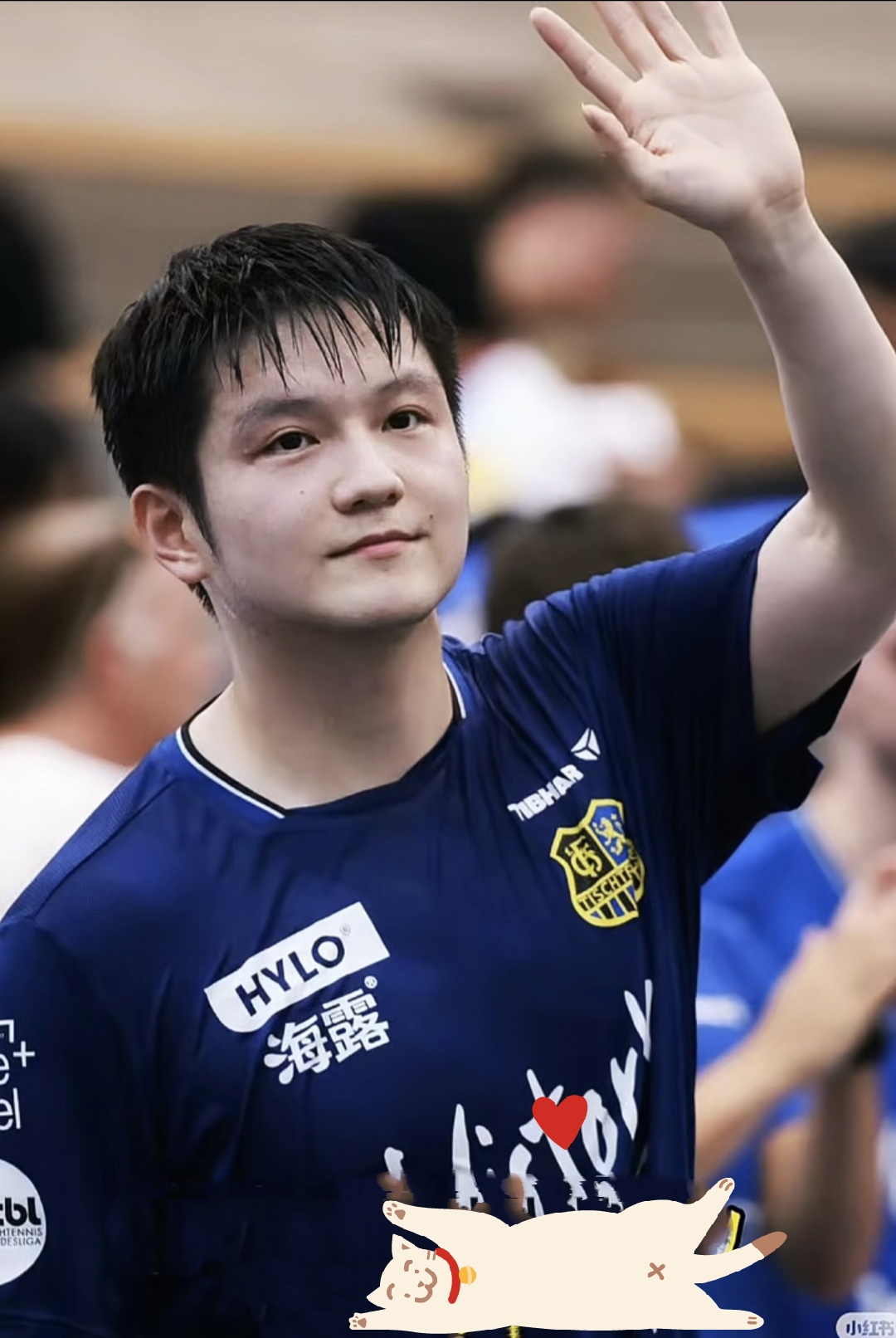 关于英国乒乓球队绝地反击德国乒乓球队，樊振东关键制胜的信息