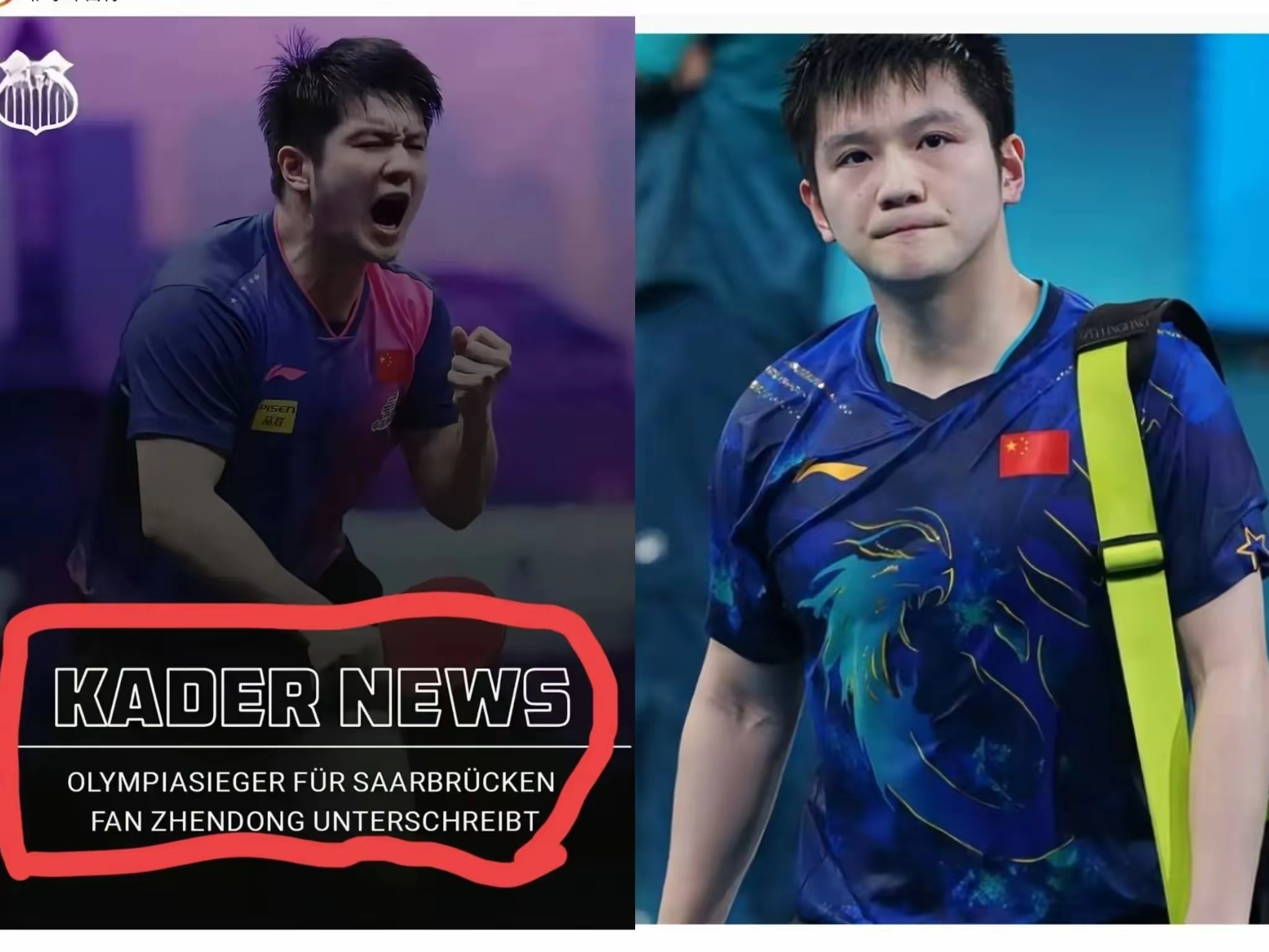 德国队绝杀韩国队，樊振东扛起全队