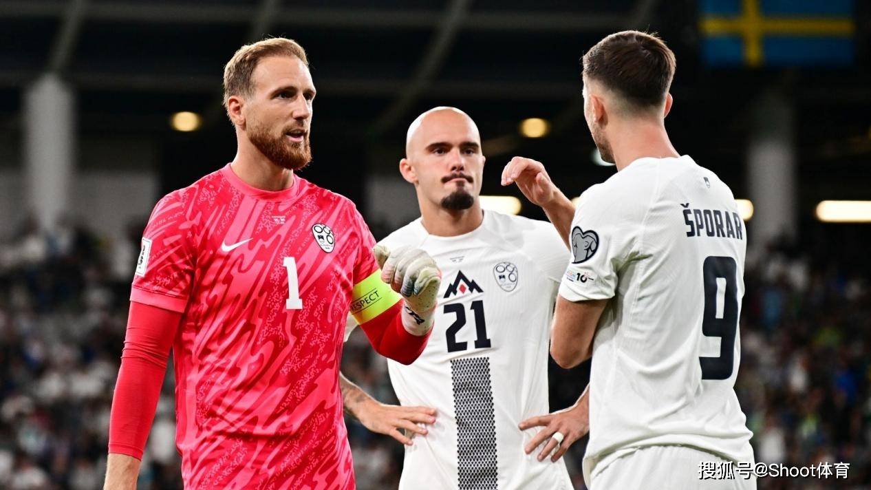 包含爱尔兰与斯洛文尼亚战平,欧洲杯预选赛局势激烈的词条 包含爱尔兰与斯洛文尼亚战平,欧洲杯预选赛局势激烈的词条