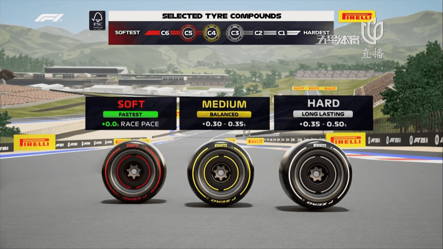 梅赛德斯险胜索伯车队，阿隆索刷新纪录的简单介绍