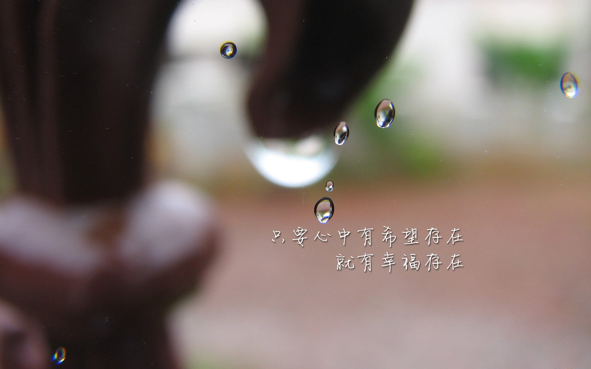 绿茵场的两极，劳塔罗的锋刃艺术与冰岛足球的体系碾压