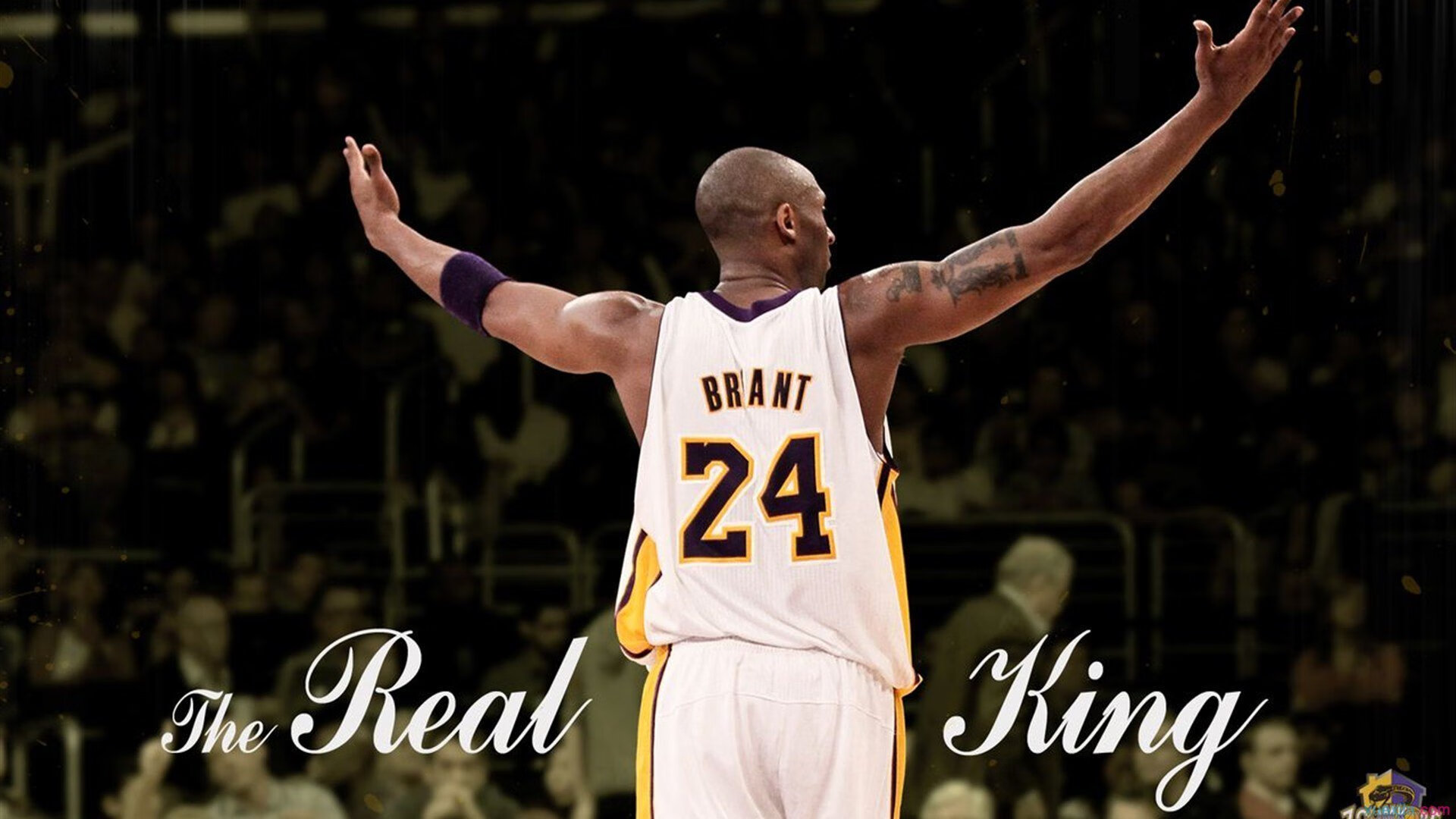 赛道与球场,当F1争冠焦点战遇上独行侠的逆袭